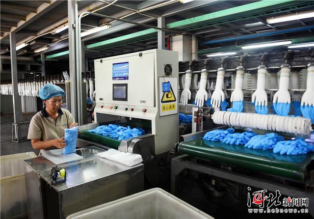 產學研一體化為翼，丁腈手套海外市場熱銷調查